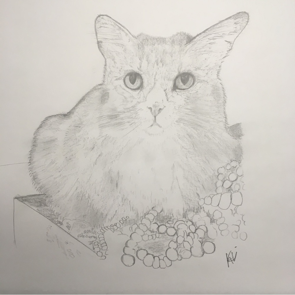 The Protecter Of Pearls
